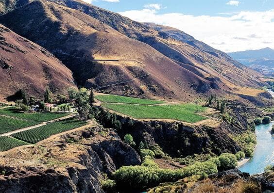 Wine Region