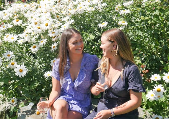 The Wine Trail Tour